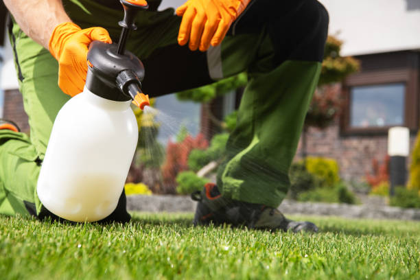 Best Pest Control for Restaurants  in Ocean City, NJ