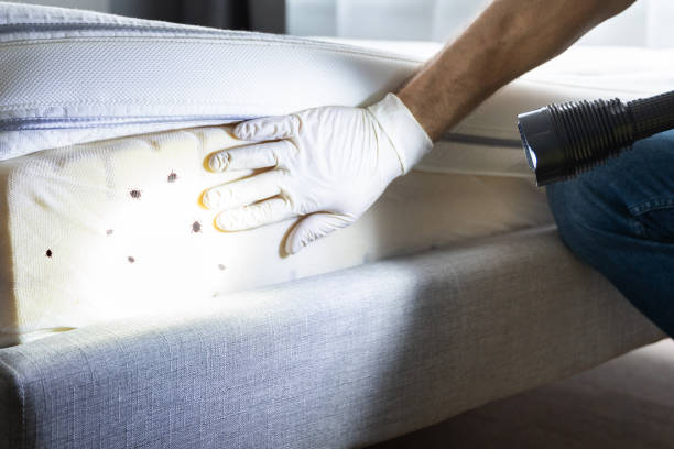 Best Best Pest Control Companies  in Ocean City, NJ