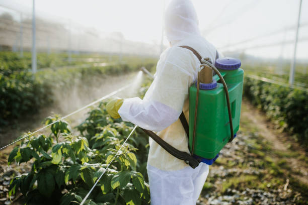 Best Pest Inspection Near Me  in Ocean City, NJ